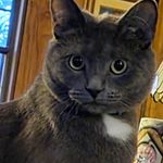 Sherry Lynch Workman - @sherry_workman - Instagram