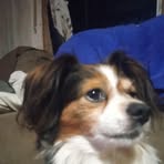 Sherry Workman - Facebook