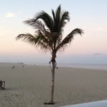 Sherry Yale - @slyale - Instagram