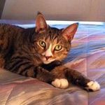 Sherry Yoder - @yodersherry - Instagram