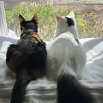 Sherry Yoder - @sherryoder - Instagram