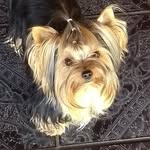 •sherry_a_york• - @sherry_york22 - Instagram