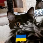 Sherry York - @yorksly - Instagram