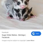 Sherry York - @sherryyork38 - Instagram