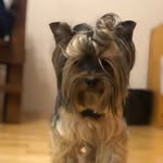 Шекранс(Shiekrans)(2к12) - @_sherry_york_ - Instagram