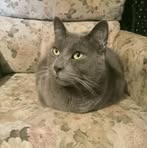 Sherryann King - Facebook