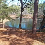 Sheryl Chambers - Facebook