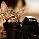 Vox Sherwin Angeles - @voxknowsphoto - Instagram