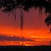 Sheryl Scott - Facebook