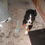 Sheryl D Rogers Baxter - @ouhl1 - Instagram