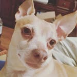Cheryl Braxton - @cheryl.braxton - Instagram