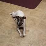 Sheryl Burchett - @sherylburchett - Instagram
