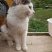 Sheryl Burd - Facebook