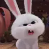 casey - @sherylcasey1122 - TikTok