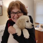 Sheryl Casey - @sheryl.casey2 - Instagram