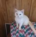 Sheryl Cole - Facebook