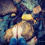 Sheryl Cox - @shaidee8 - Instagram