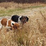 Sheryl N Rick Cramer - @runfastrunclean - Instagram