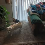 Sheryl Dickerson - @sheryl.dickerson.568 - Instagram