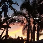 Cheryl Dillon - @cheryl.dillon.10 - Instagram