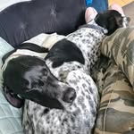 Sheryl Millar Dillon - @sheryl.millar - Instagram