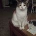 Sheryl Eddy - Facebook
