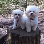 Cheryl Flint - @cheryl.flint - Instagram