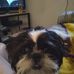 Sheryl Fox - Facebook