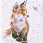 sheryl fox - @foxyallotmentchronicles - Instagram