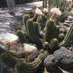 Sheryl Gamble - @sherylgamble6959blackberry447 - Instagram