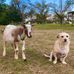 Cheryl Garrett - Facebook