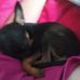 Sheryl Garrett - Facebook