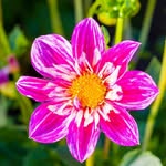 Sheryl Gluck - @sheryl.gluck - Instagram