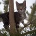 Cheryl Gross - Facebook