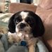 Sheryl Gross - Facebook
