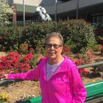 Sheryl Gross - @gross.sheryl - Instagram