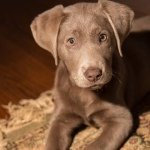Sheryl Grossman - @sherylmgrossman - Instagram