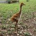 Cheryl M Hahn - Facebook