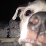 Sheryl Hahn - @sherylhahn1 - Instagram