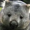 Sheryl Ralston Hahn - @sheryl.ralston.ha - TikTok