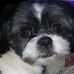 Sheryl Harmon - Facebook