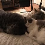 Cheryl Harold - @cheryl.harold.104 - Instagram