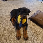 Cheryl Hook - @hookcheryl - Instagram
