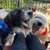 Sheryl Larson Hookom - Facebook