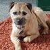 Cheryl Kemp - Facebook