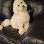 Cheryl Stratton Kramer - @cherylkramer81 - Instagram