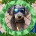 Sheryl Kramer - Facebook
