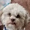Cheryl Lancaster - @cheryl.lancaster3 - TikTok
