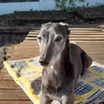 Cheryl Leach - @cherylleach57 - Instagram