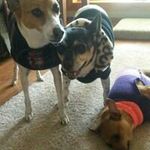 Sheryl Doyle Lloyd - @doylelloyd - Instagram